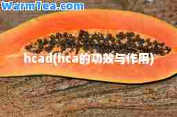 hcad(hca的功效与作用) hcad(hca的功效与作用)