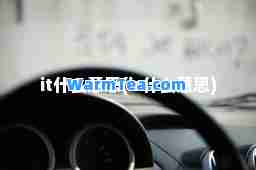 it什么意思(is什么意思)