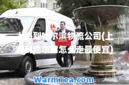 上海到哈尔滨物流公司(上海到哈尔滨怎么走最便宜)