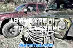 丰田汽车报价及图片(一汽丰田汽车报价及图片)