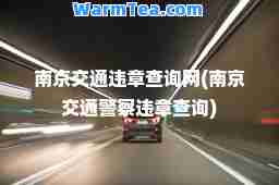 南京交通违章查询网(南京交通警察违章查询)