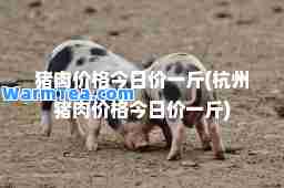 猪肉价格今日价一斤(杭州猪肉价格今日价一斤)