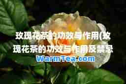 玫瑰花茶的功效与作用(玫瑰花茶的功效与作用及禁忌)