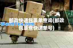 邮政快递包裹单查询(邮政包裹查快递单号)