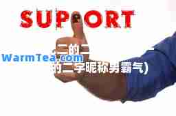 的二字昵称(的二字昵称男霸气)