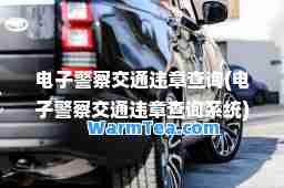 电子警察交通违章查询(电子警察交通违章查询系统)