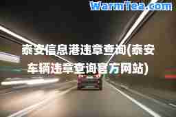 泰安信息港违章查询(泰安车辆违章查询官方网站)