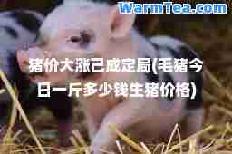 猪价大涨已成定局(毛猪今日一斤多少钱生猪价格)