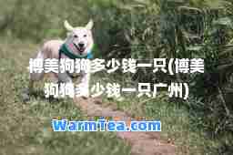 博美狗狗多少钱一只(博美狗狗多少钱一只广州) 博美狗狗多少钱一只(博美狗狗多少钱一只广州)