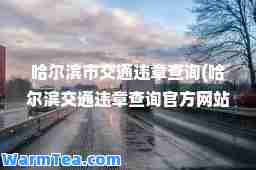 哈尔滨市交通违章查询(哈尔滨交通违章查询官方网站)