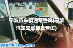 宁波市车辆违章查询(宁波汽车交警违章查询)