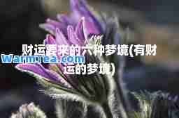 财运要来的六种梦境(有财运的梦境)
