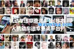 机动车违章查询平台(非本人机动车违章查询平台)