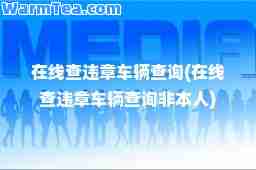 在线查违章车辆查询(在线查违章车辆查询非本人)