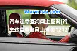 汽车违章查询网上查询(汽车违章查询网上查询12123)