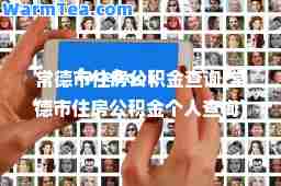 常德市住房公积金查询(常德市住房公积金个人查询)
