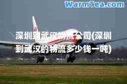 深圳到武汉物流公司(深圳到武汉的物流多少钱一吨)