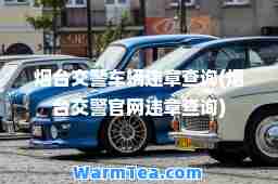 烟台交警车辆违章查询(烟台交警官网违章查询)