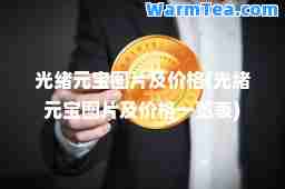 光绪元宝图片及价格(光绪元宝图片及价格一览表)