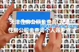 天津住房公积金查询(天津住房公积金查询个人账户查询余额)