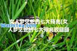 女人梦见蛇的七大预兆(女人梦见蛇的七大预兆咬腿腿种毒)