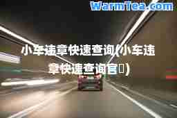 小车违章快速查询(小车违章快速查询官罿)
