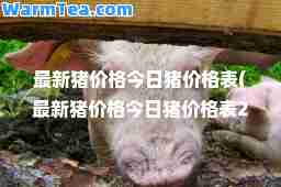 猪价格今日猪价格表(猪价格今日猪价格表2023)