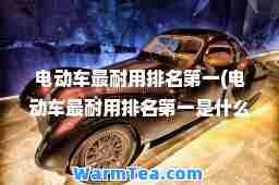 电动车最耐用排名(电动车最耐用排名是什么牌子)