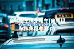 自驾租车州租车(自驾租车州租车app)