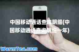 中国移动通话查询明细(中国移动通话查询明细一年)