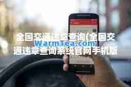 全国交通违章查询(全国交通违章查询系统官网手机版) 全国交通违章查询(全国交通违章查询系统官网手机版)