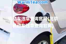 机动车违章查询官网(北京机动车违章查询官网)