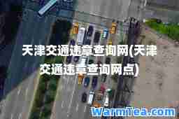 天津交通违章查询网(天津交通违章查询网点)