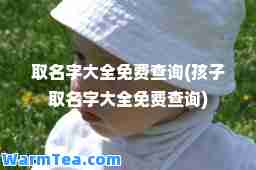 取名字大全免费查询(孩子取名字大全免费查询)