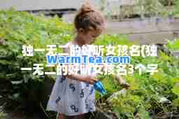 的好听女孩名(的好听女孩名3个字)