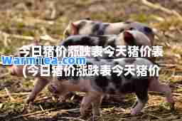 今日猪价涨跌表今天猪价表(今日猪价涨跌表今天猪价表8.16)