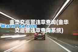 金华交巡警违章查询(金华交巡警违章查询系统)
