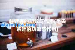 碧螺春的功效与作用(毛尖茶叶的功效与作用)