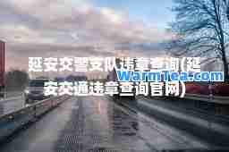 延安交警支队违章查询(延安交通违章查询官网) 延安交警支队违章查询(延安交通违章查询官网)