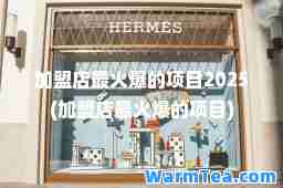 加盟店最火爆的项目2025(加盟店最火爆的项目)