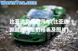 比亚迪新能源汽车(比亚迪新能源汽车价格表及图片)