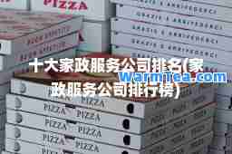 十大家政服务公司排名(家政服务公司排行榜)