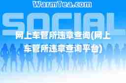 网上车管所违章查询(网上车管所违章查询平台)
