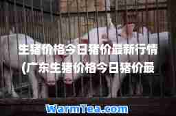 生猪价格今日猪价行情(广东生猪价格今日猪价行情)