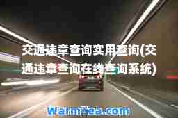 交通违章查询实用查询(交通违章查询在线查询系统)