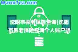 沈阳市养老保险查询(沈阳市养老保险查询个人账户明细查询)