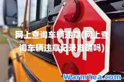 网上查询车辆违章(网上查询车辆违章记录准确吗)