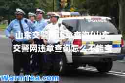山东交警网违章查询(山东交警网违章查询怎么不能查了)