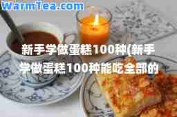 新手学做蛋糕100种(新手学做蛋糕100种能吃全部的部)
