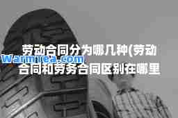劳动同分为哪几种(劳动同和劳务同区别在哪里)